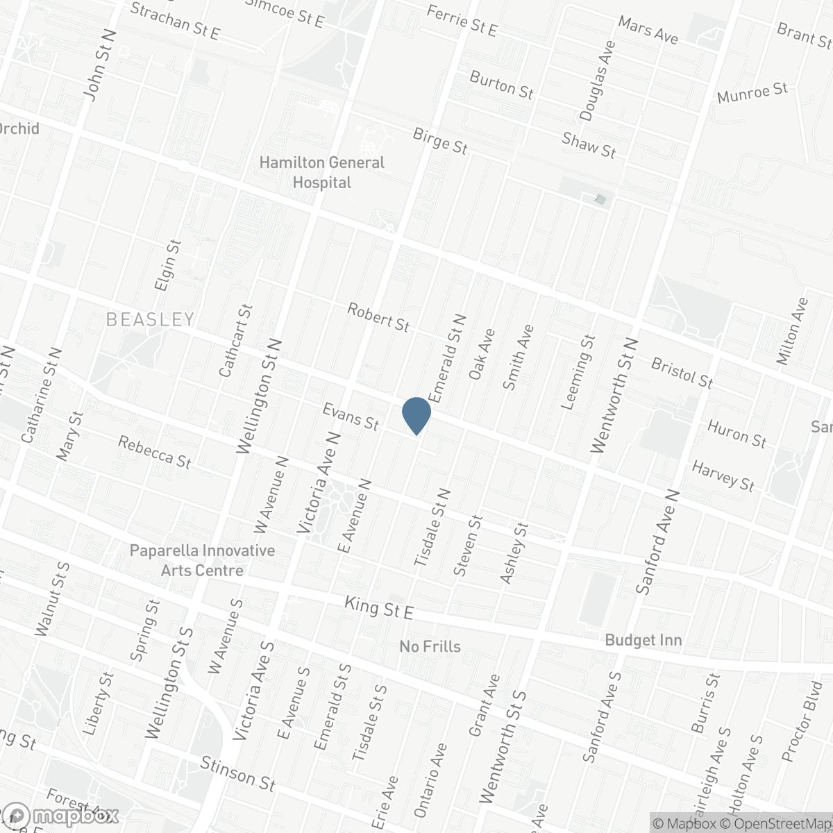 334 CANNON STREET E, Hamilton, Ontario L8L 2B9